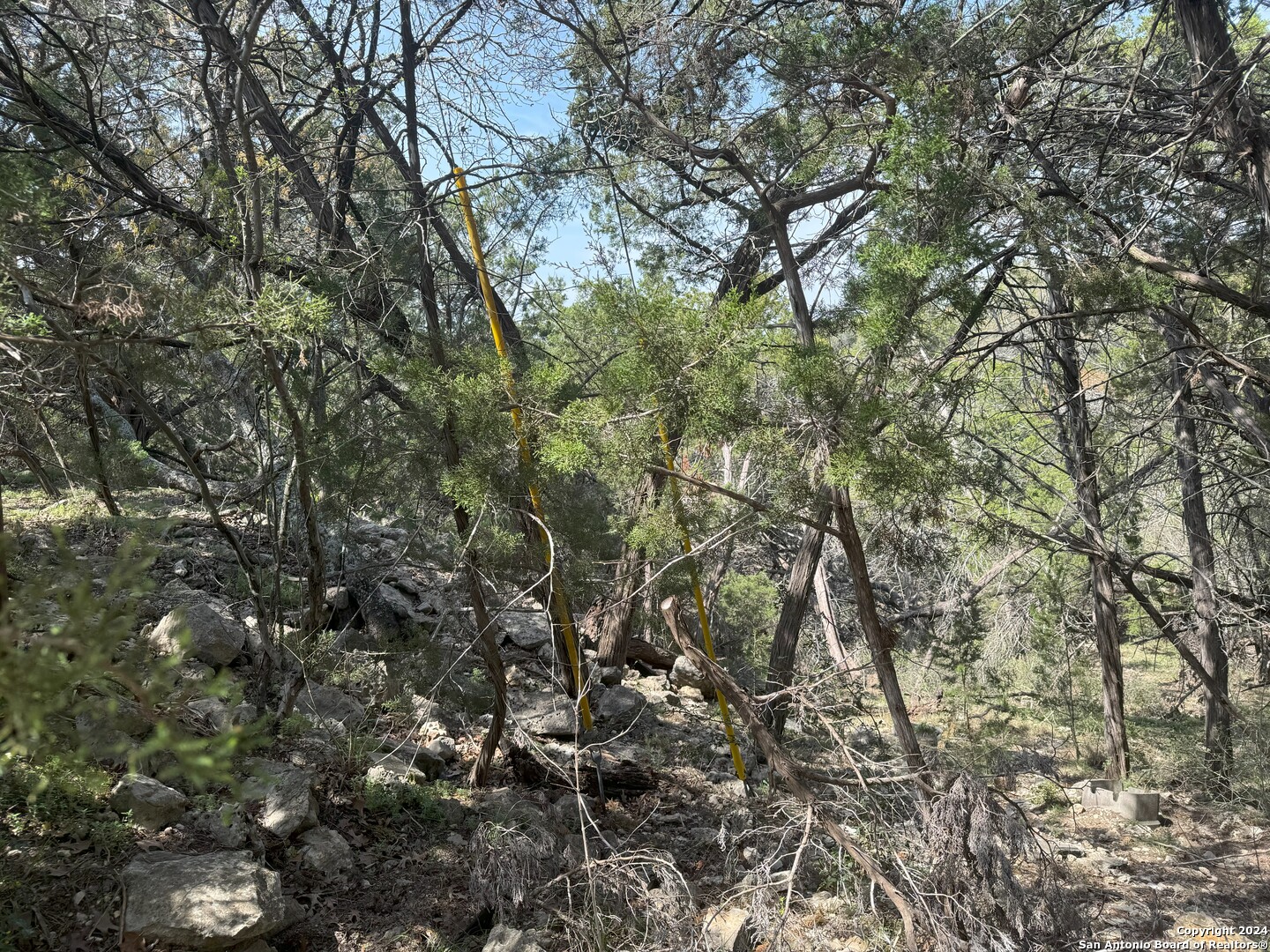 397 Cedar Drive Canyon Lake TX 78133