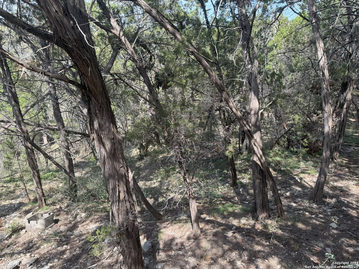 397 Cedar Drive Canyon Lake TX 78133