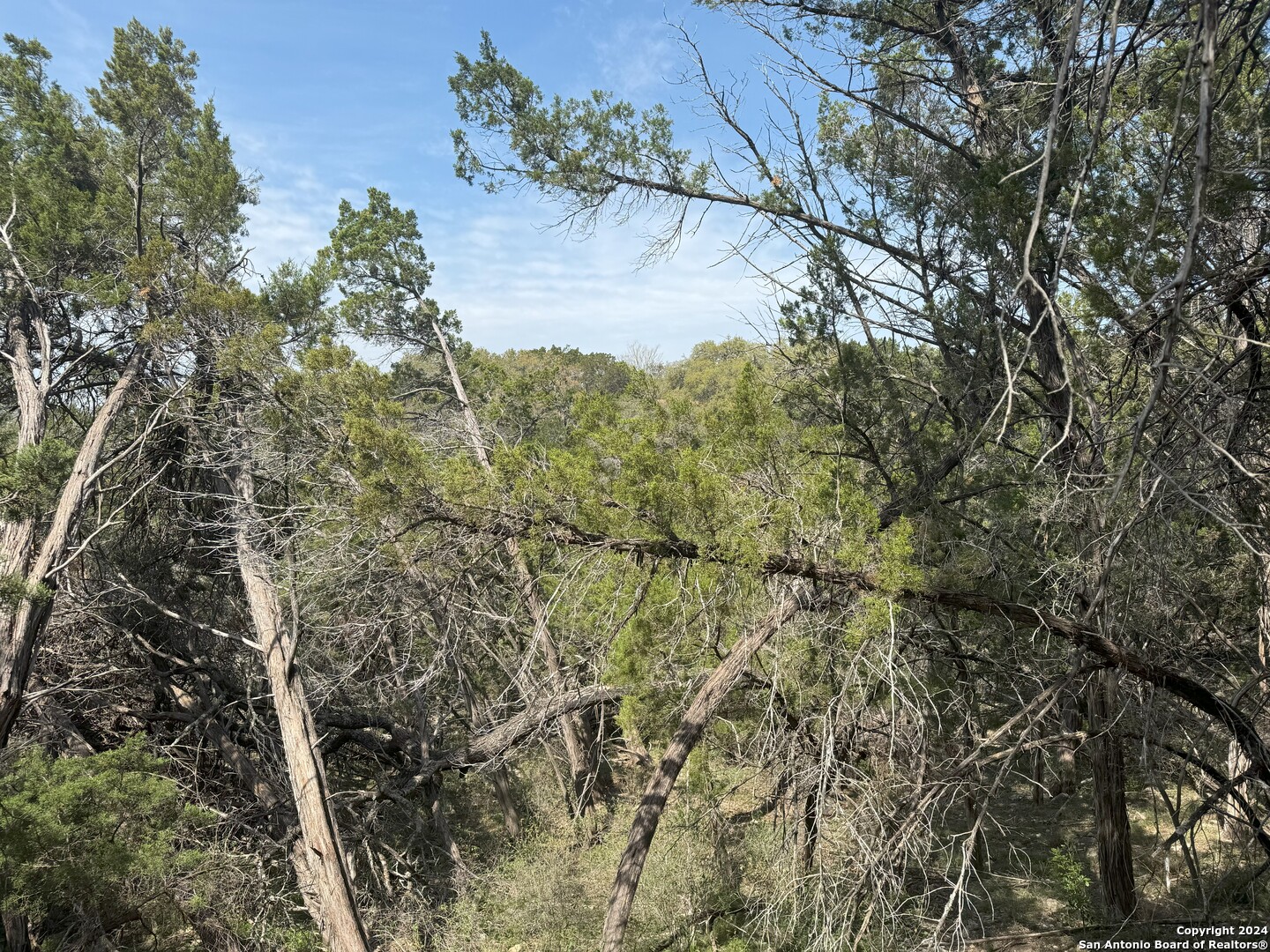 397 Cedar Drive Canyon Lake TX 78133