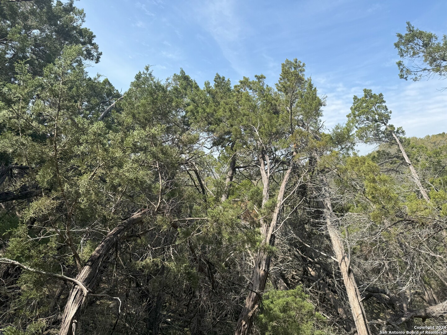 397 Cedar Drive Canyon Lake TX 78133