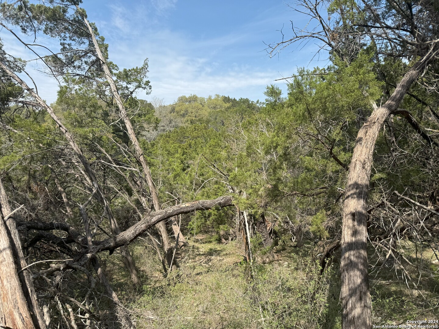 397 Cedar Drive Canyon Lake TX 78133