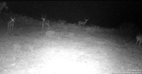 000 Hartgrove Winters Road Comstock TX 78773