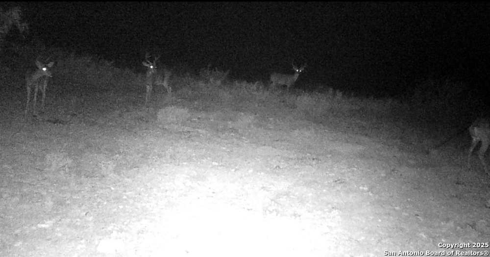 000 Hartgrove Winters Road Comstock TX 78773