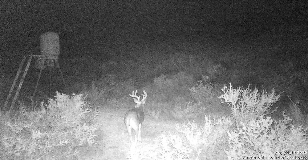 000 Hartgrove Winters Road Comstock TX 78773
