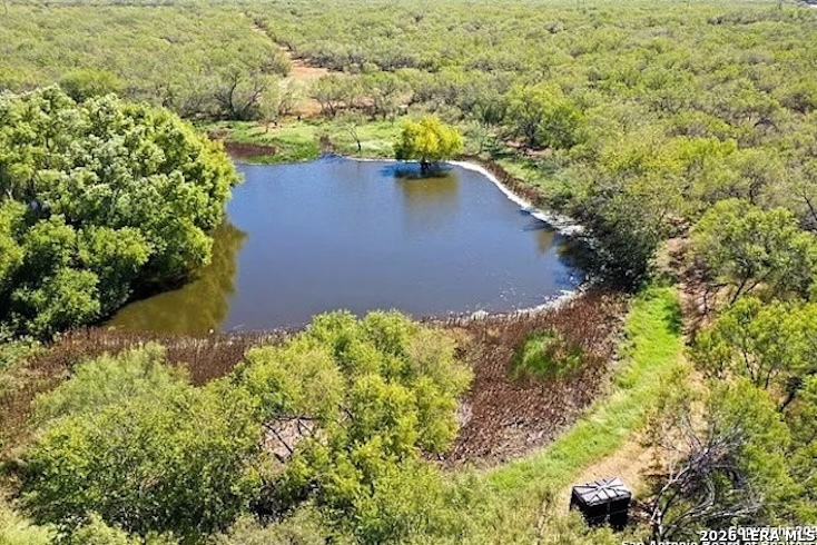 15655 Highway 140 Charlotte TX 78011
