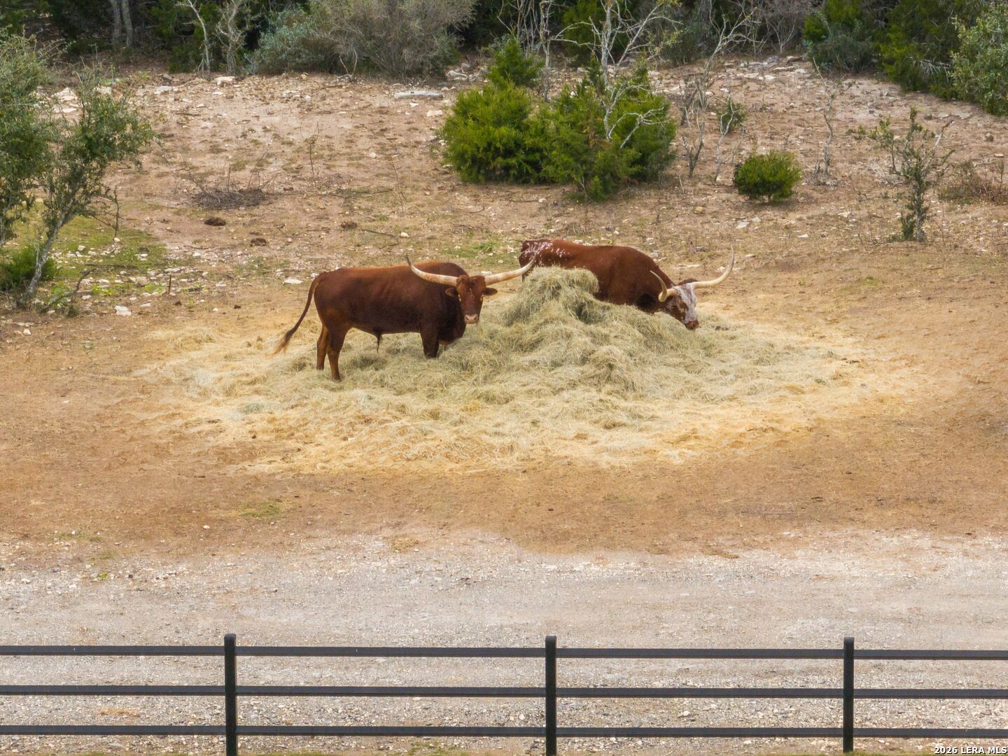 298 Table Rock Helotes TX 78023