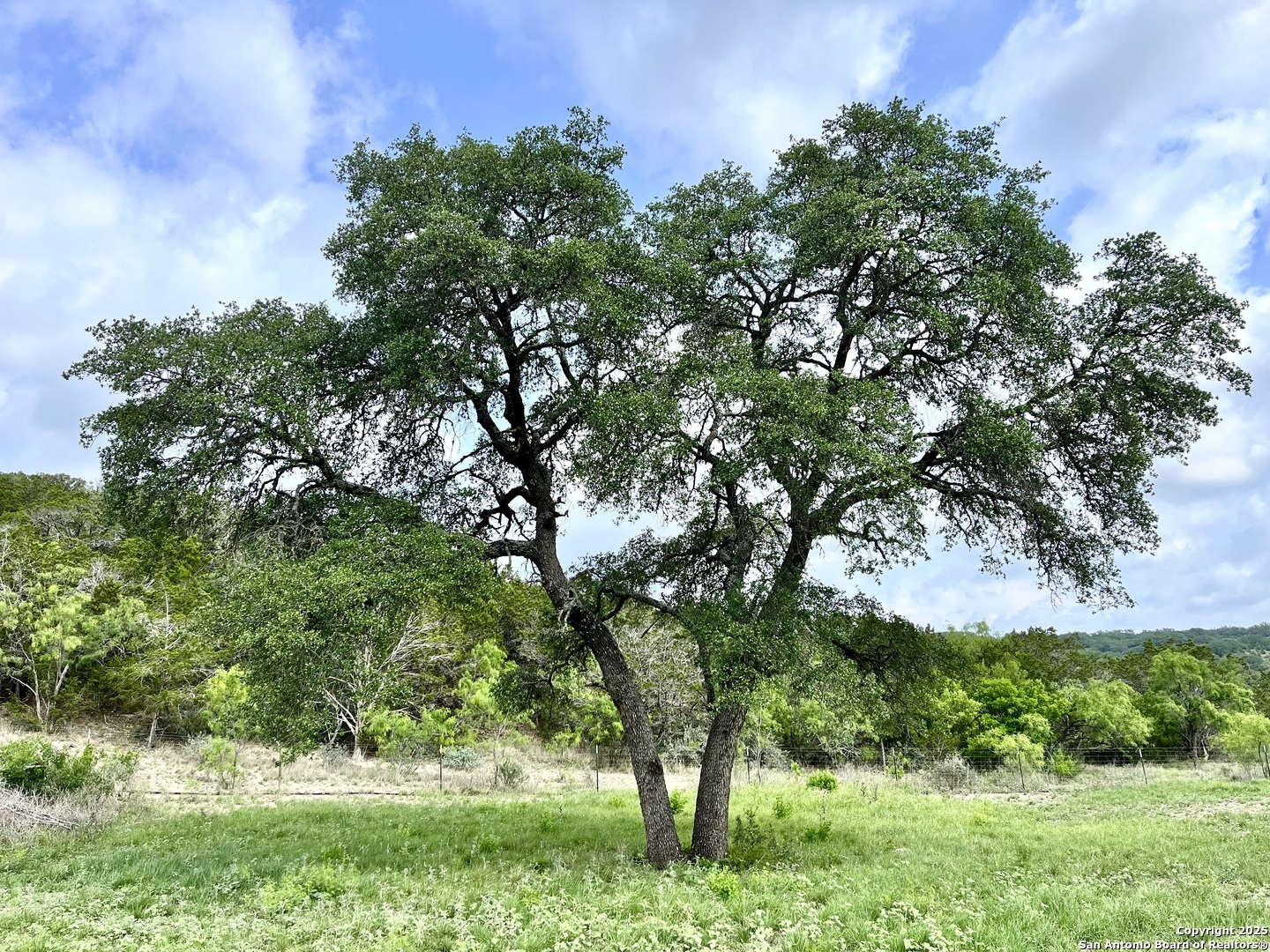 1155 Razor Ridge Road Junction TX 76849