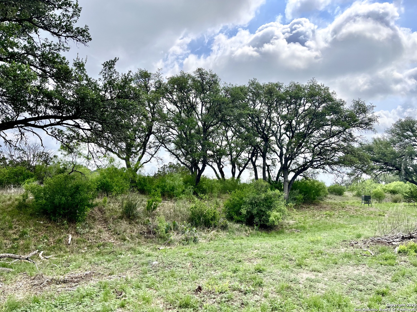 1155 Razor Ridge Road Junction TX 76849