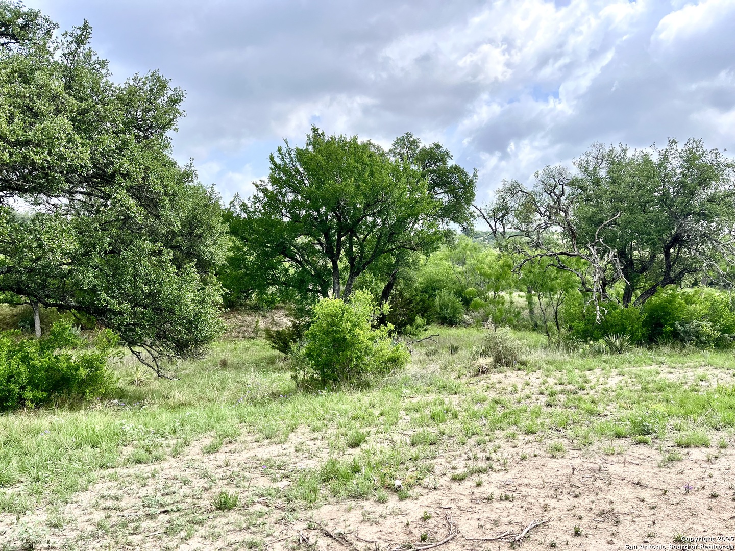 1155 Razor Ridge Road Junction TX 76849