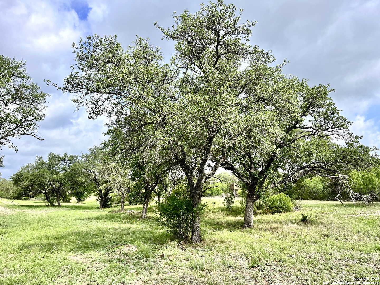 1155 Razor Ridge Road Junction TX 76849