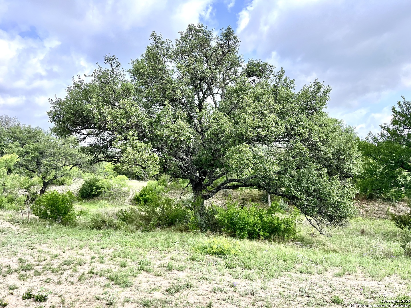 1155 Razor Ridge Road Junction TX 76849