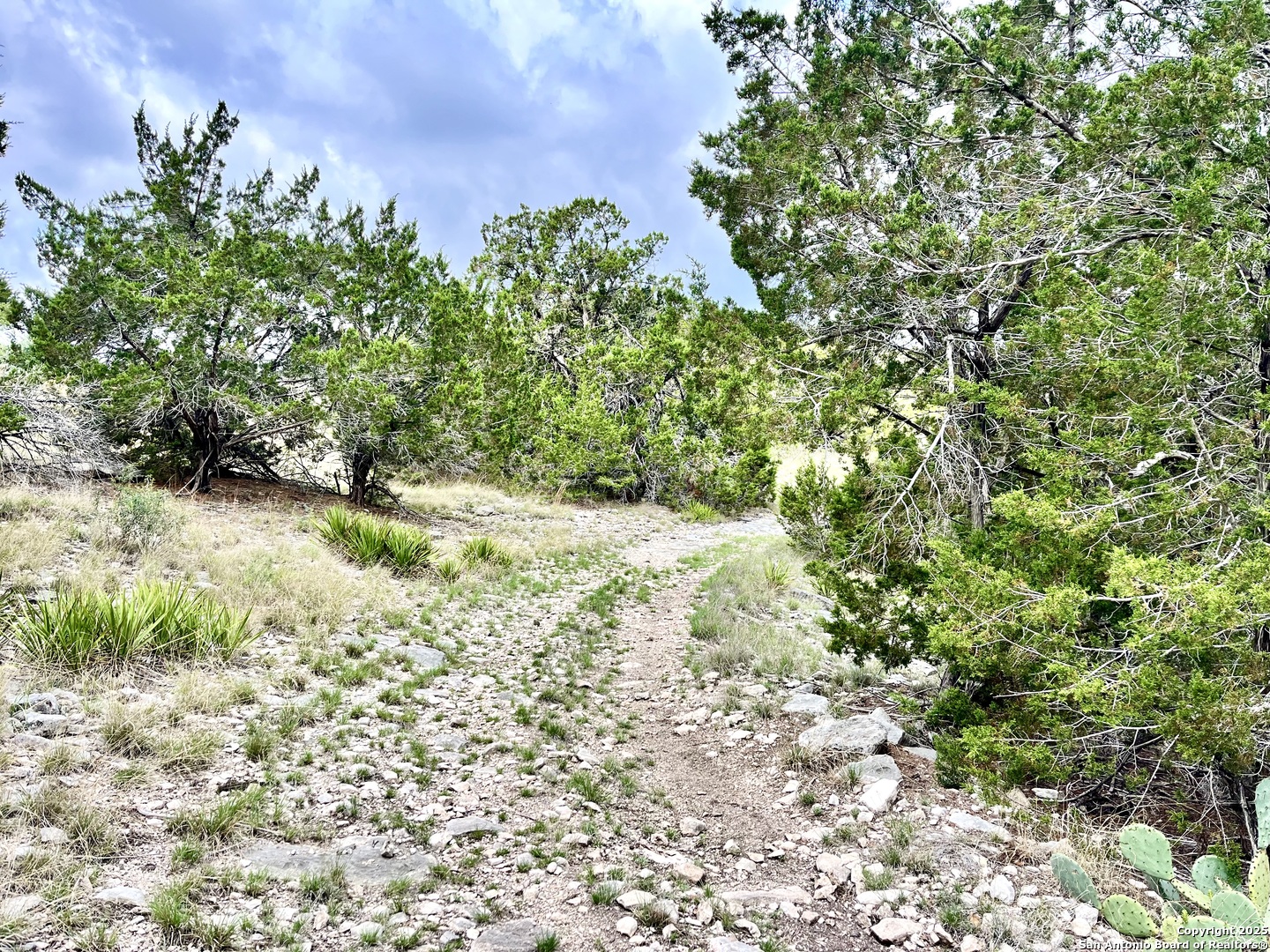 1155 Razor Ridge Road Junction TX 76849