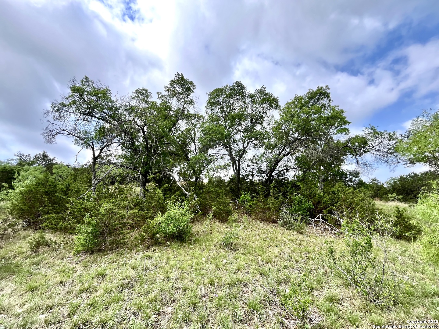 1155 Razor Ridge Road Junction TX 76849