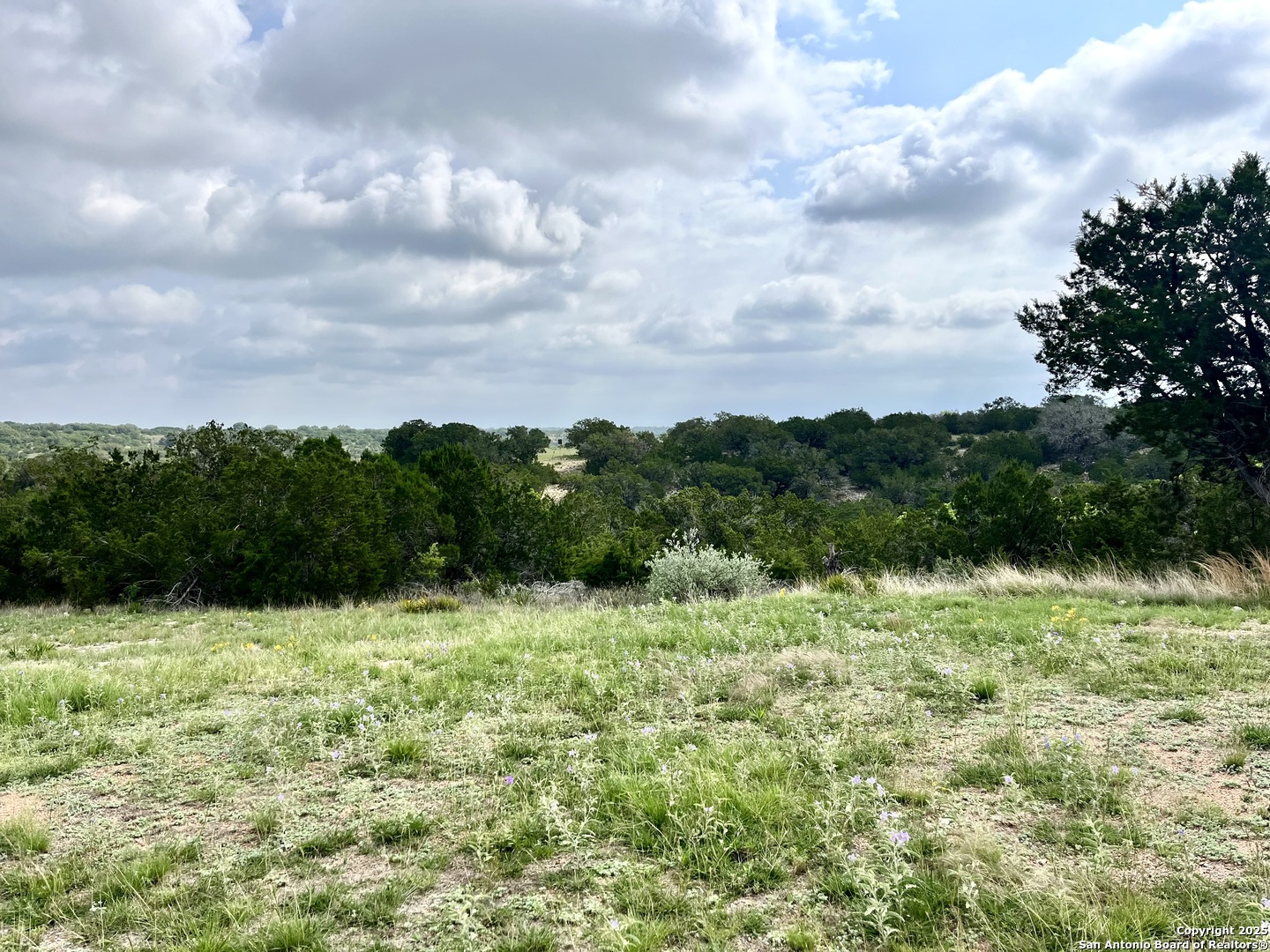 1155 Razor Ridge Road Junction TX 76849