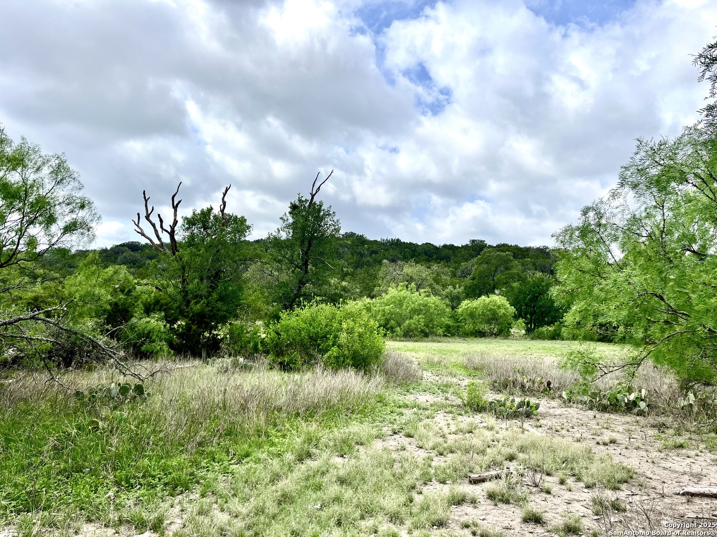 1155 Razor Ridge Road Junction TX 76849