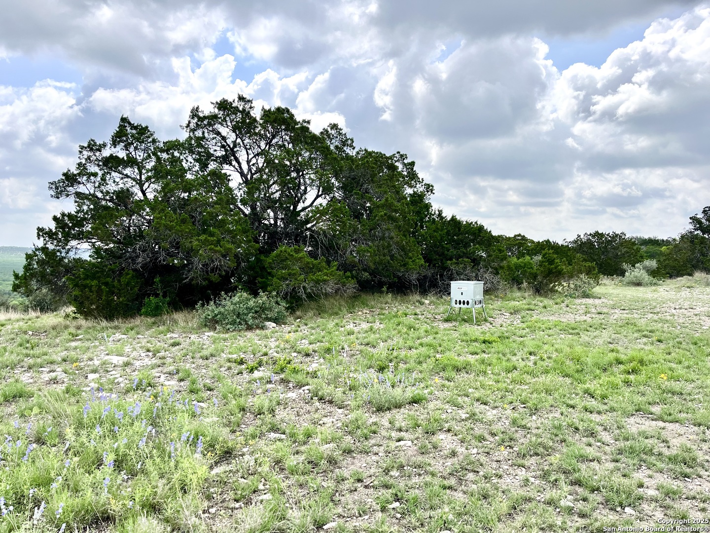 1155 Razor Ridge Road Junction TX 76849