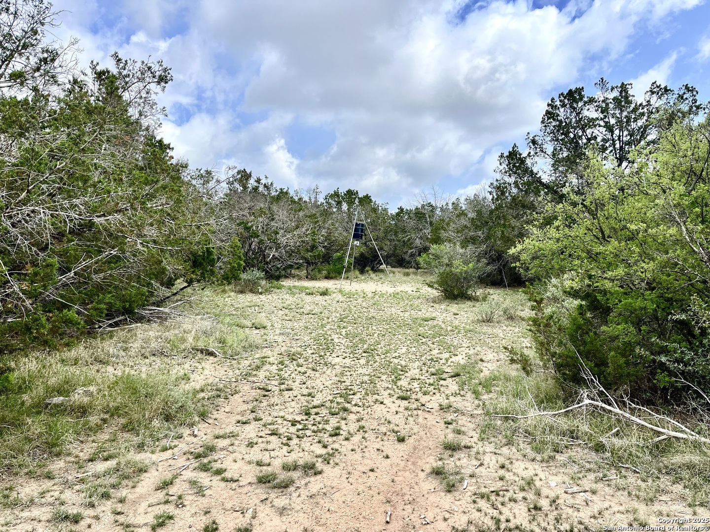 1155 Razor Ridge Road Junction TX 76849