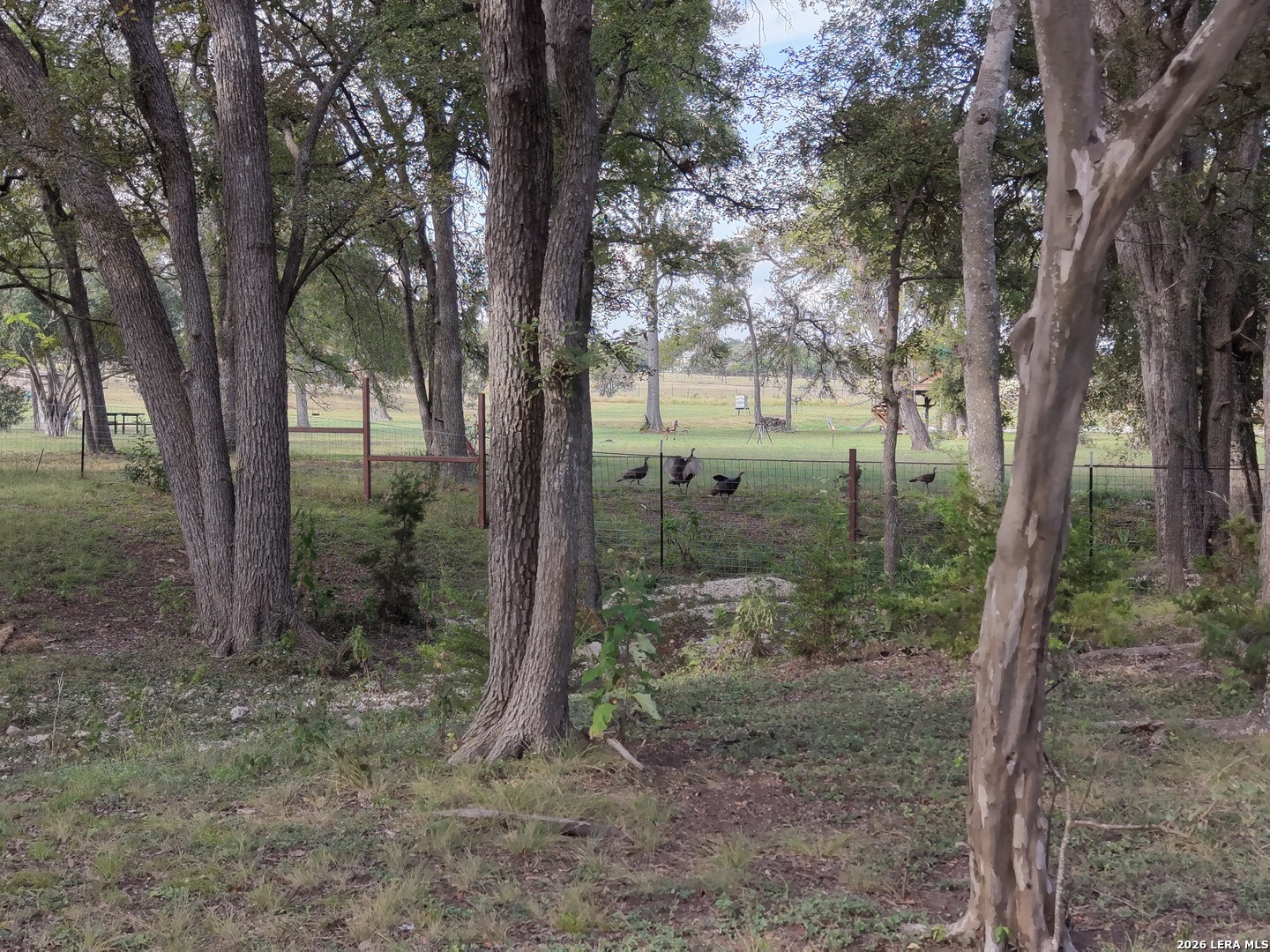 21 Thunder Valley Road Boerne TX 78006