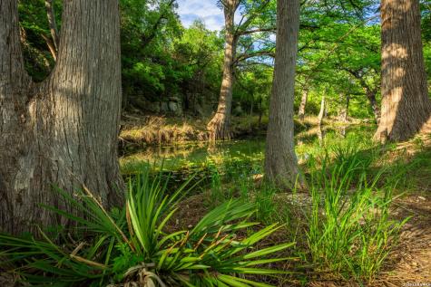 190-A Richter Road Boerne TX 78006