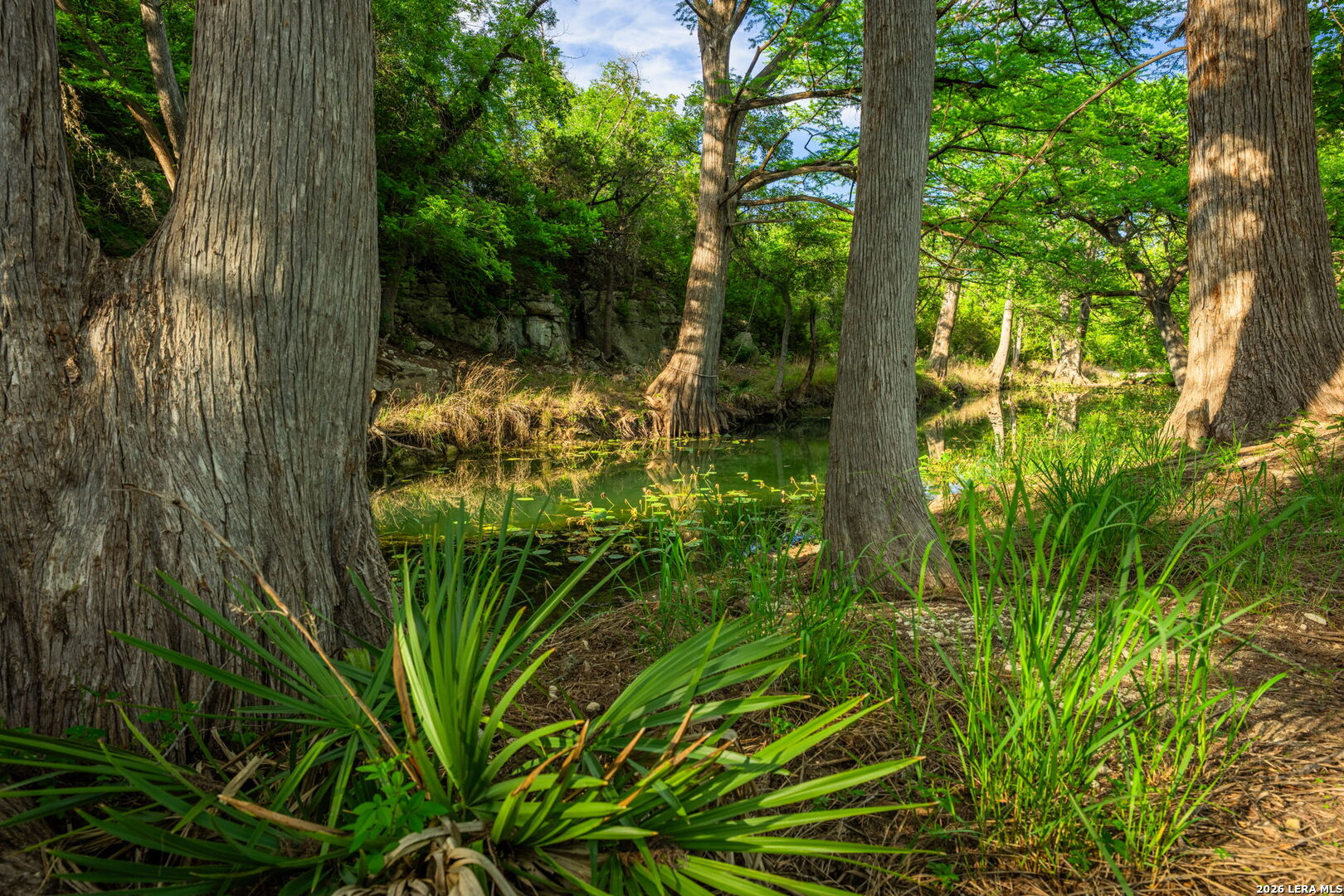 190-A Richter Road Boerne TX 78006