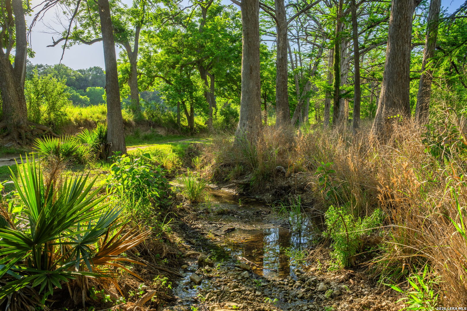 190-A Richter Road Boerne TX 78006