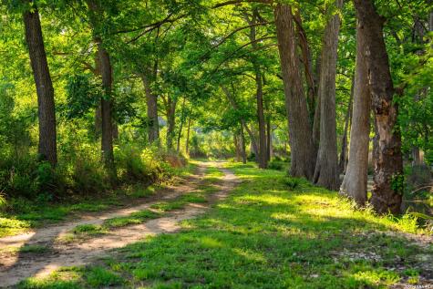 190-A Richter Road Boerne TX 78006
