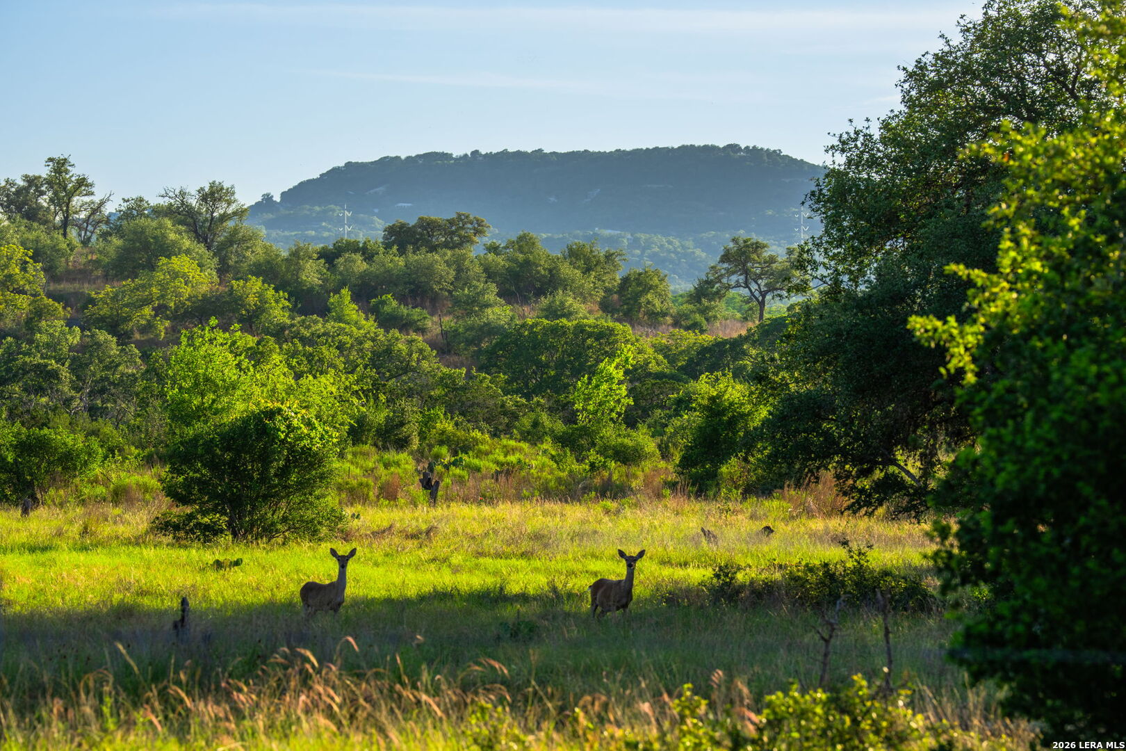 190-A Richter Road Boerne TX 78006