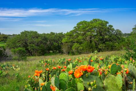 190-A Richter Road Boerne TX 78006