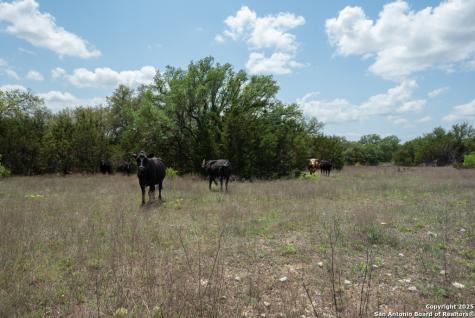 287 County Road 2722 Lometa TX 76853