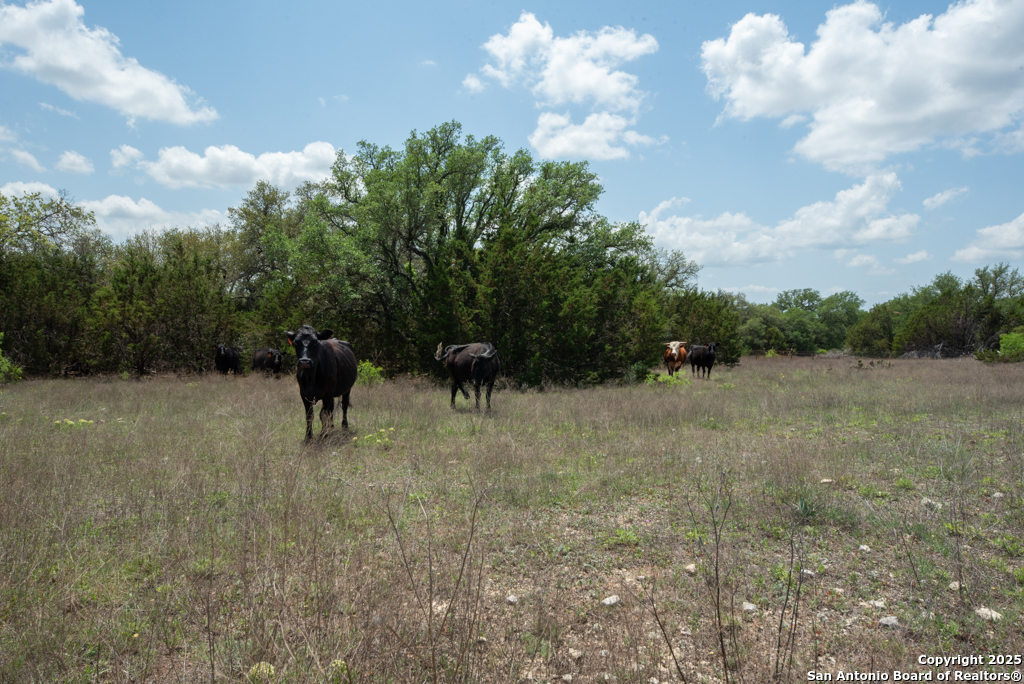 287 County Road 2722 Lometa TX 76853