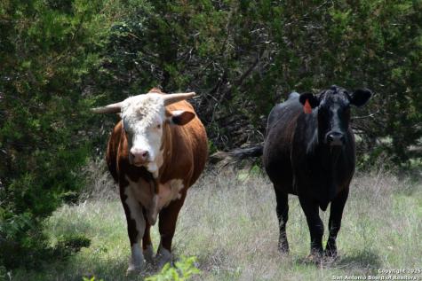 287 County Road 2722 Lometa TX 76853