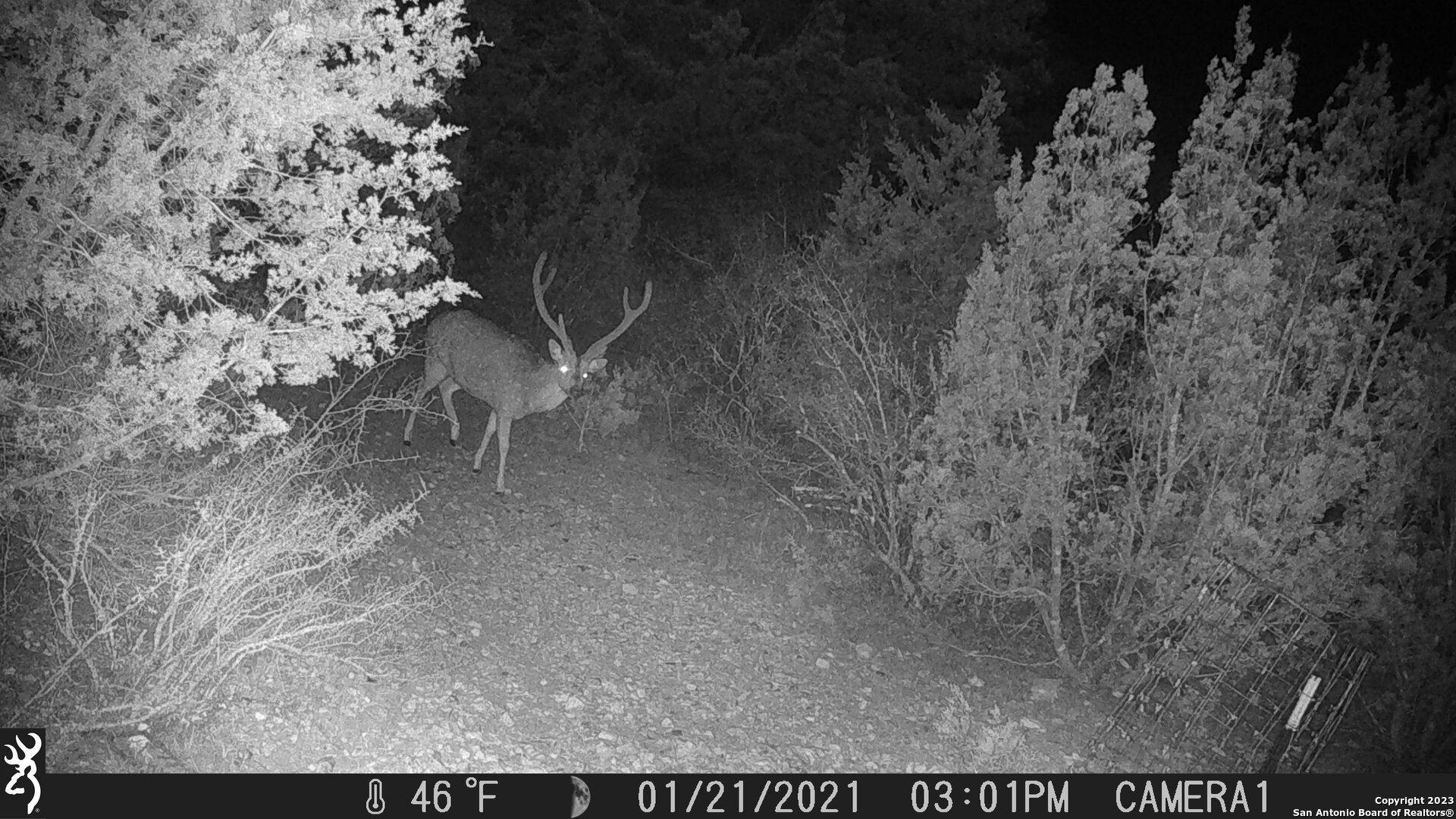 29 Oak Bend Rocksprings TX 78880