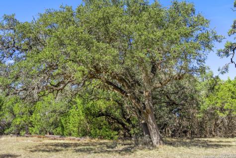 1151 Fawn Valley Drive Canyon Lake TX 78133