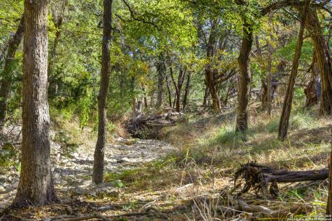 1151 Fawn Valley Drive Canyon Lake TX 78133
