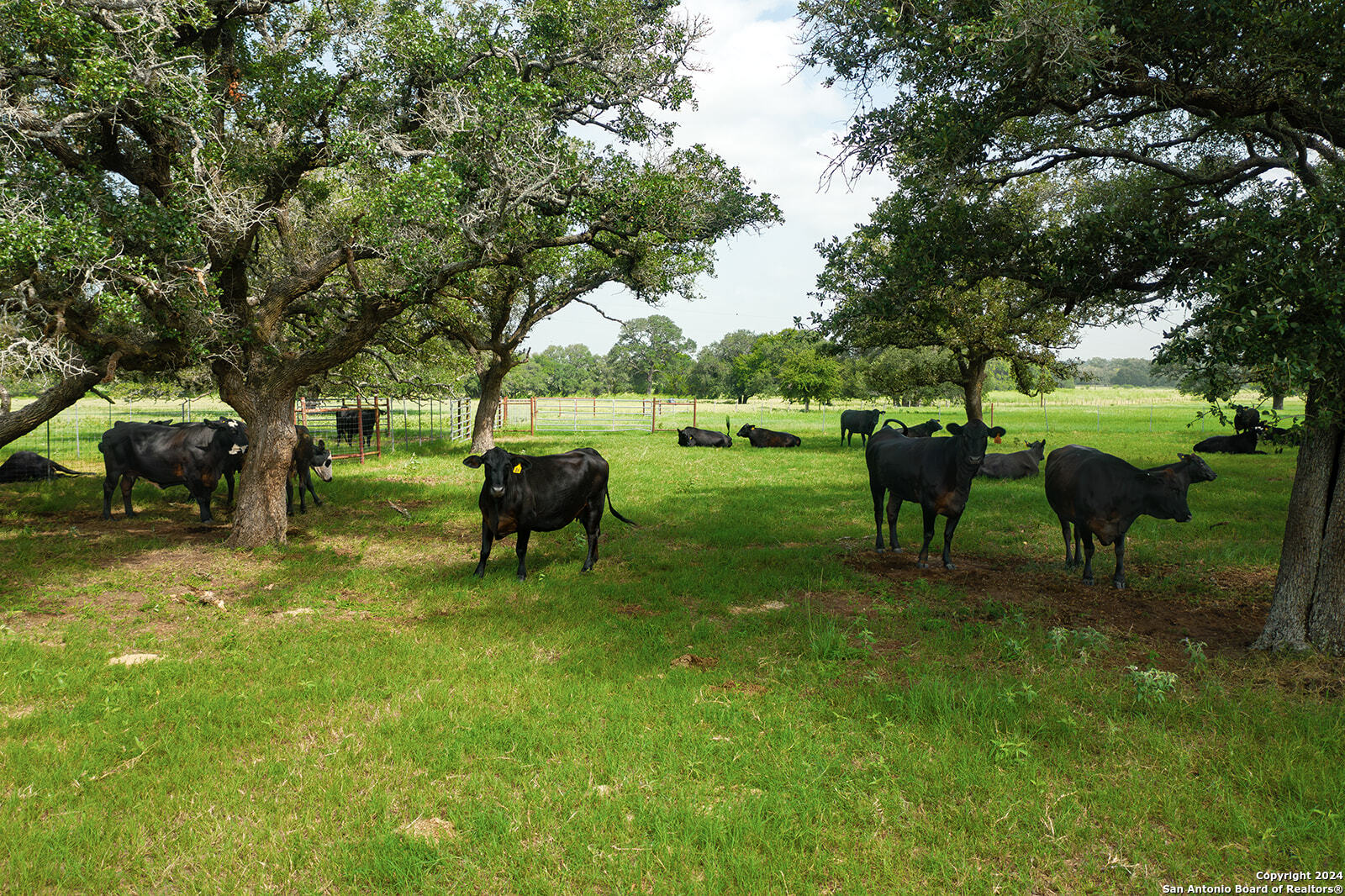1713 Hickey Road Yoakum TX 77995