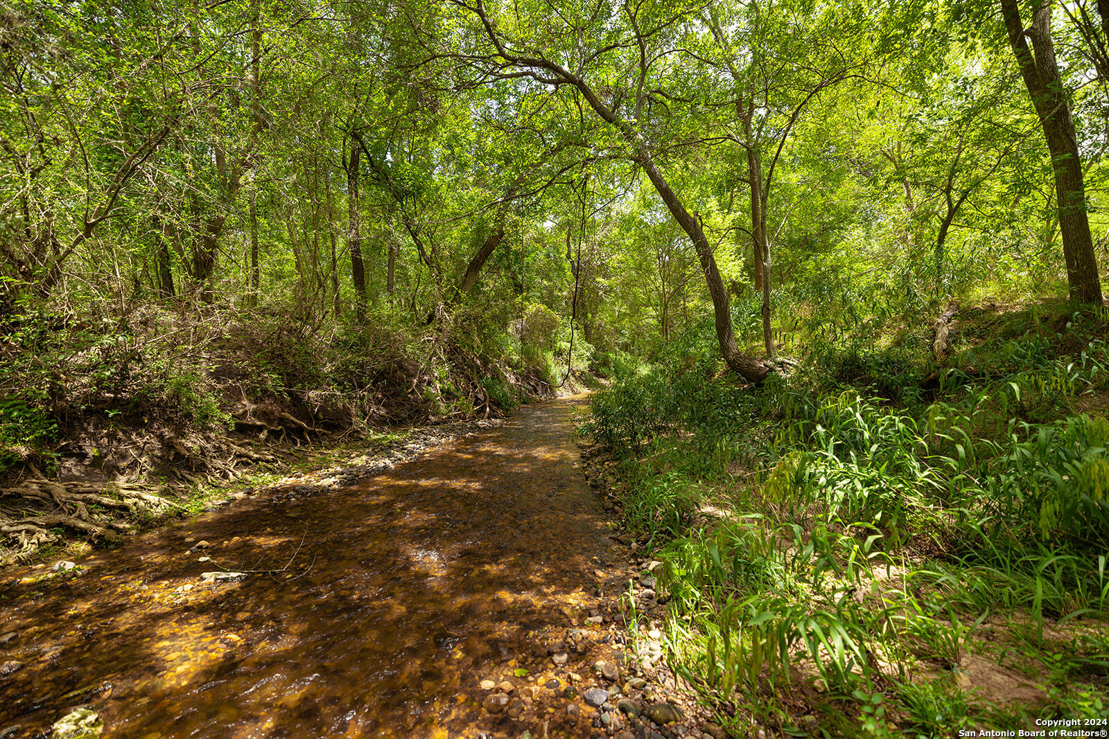 1713 Hickey Road Yoakum TX 77995