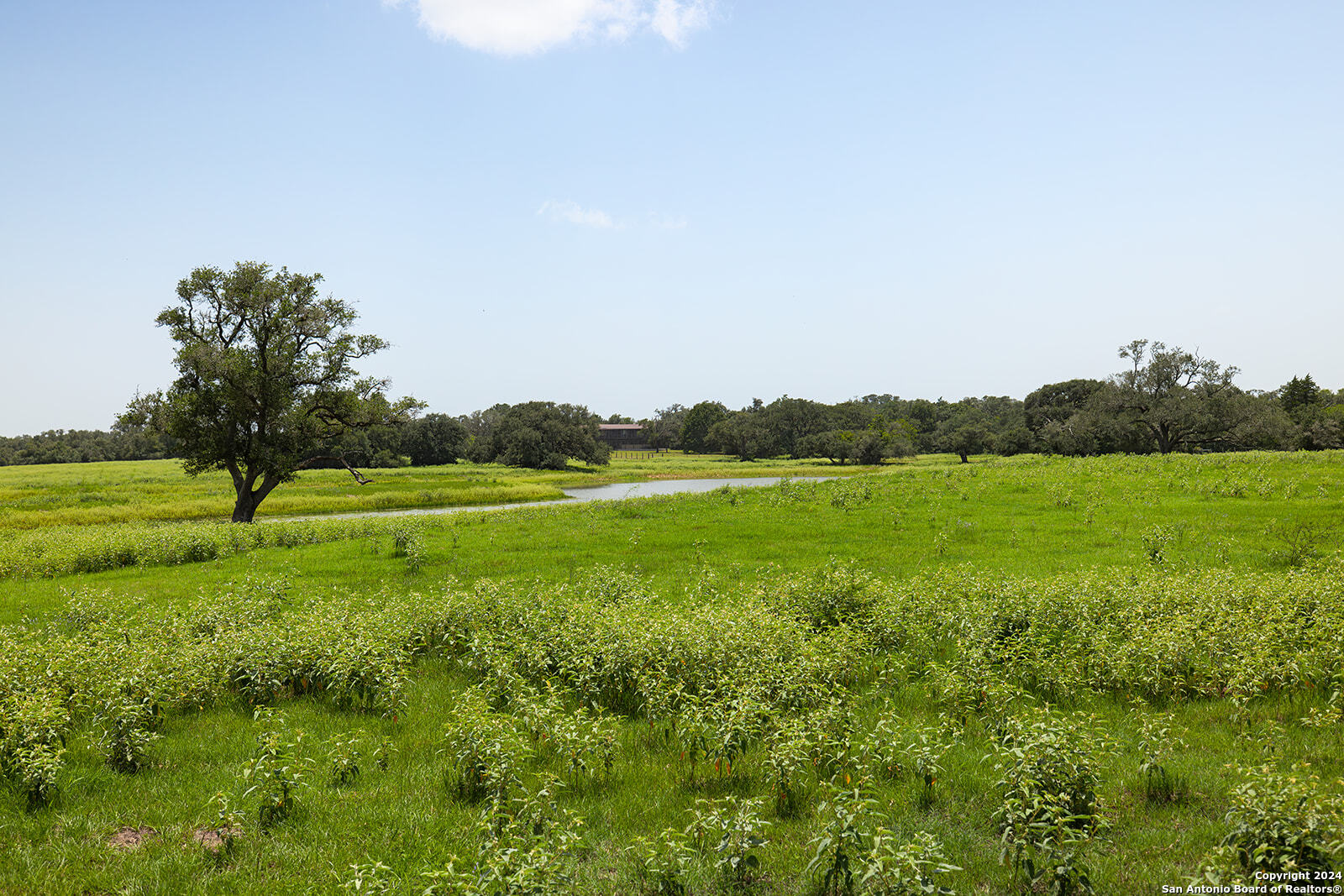 1713 Hickey Road Yoakum TX 77995
