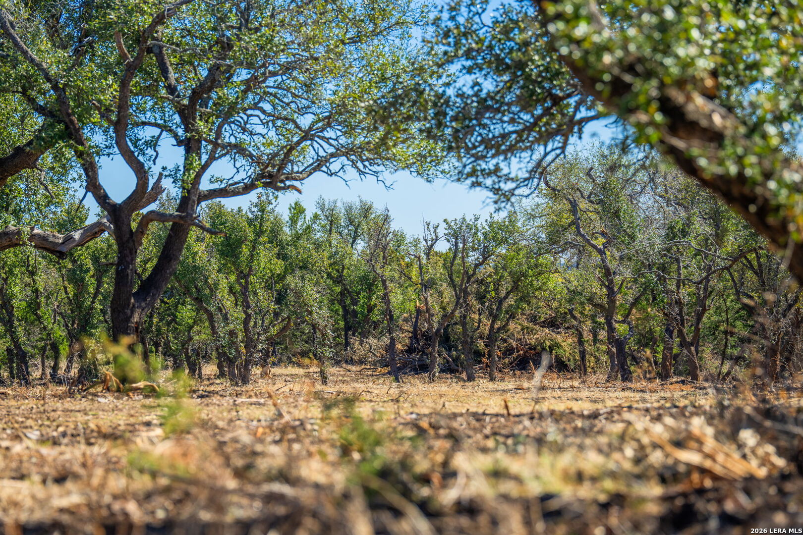 0000 Keese Road Fredericksburg TX 78624