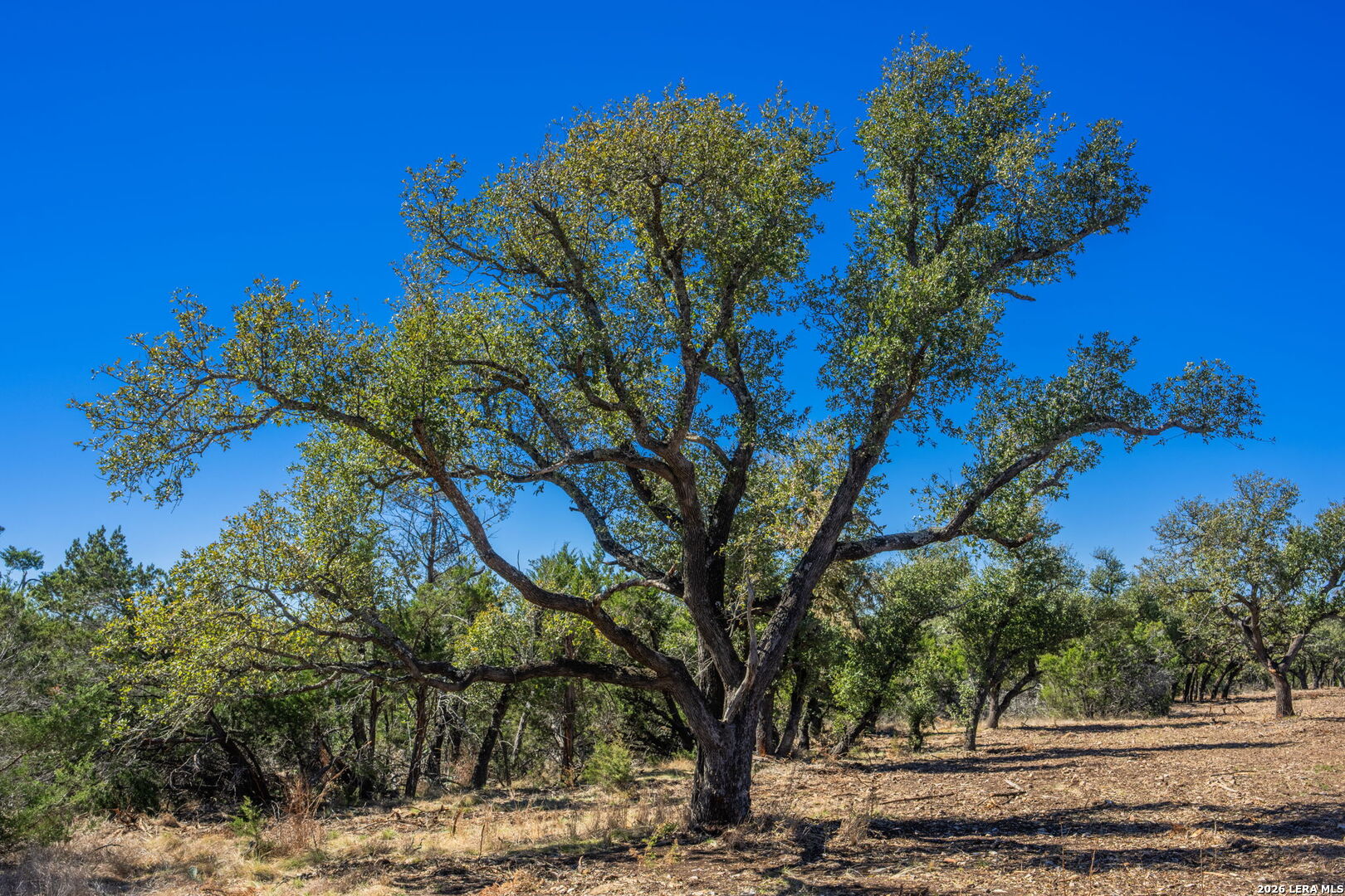 0000 Keese Road Fredericksburg TX 78624