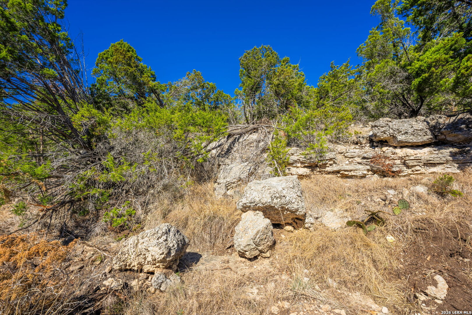 0000 Keese Road Fredericksburg TX 78624