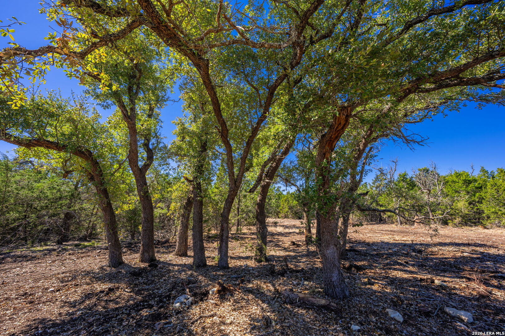 0000 Keese Road Fredericksburg TX 78624