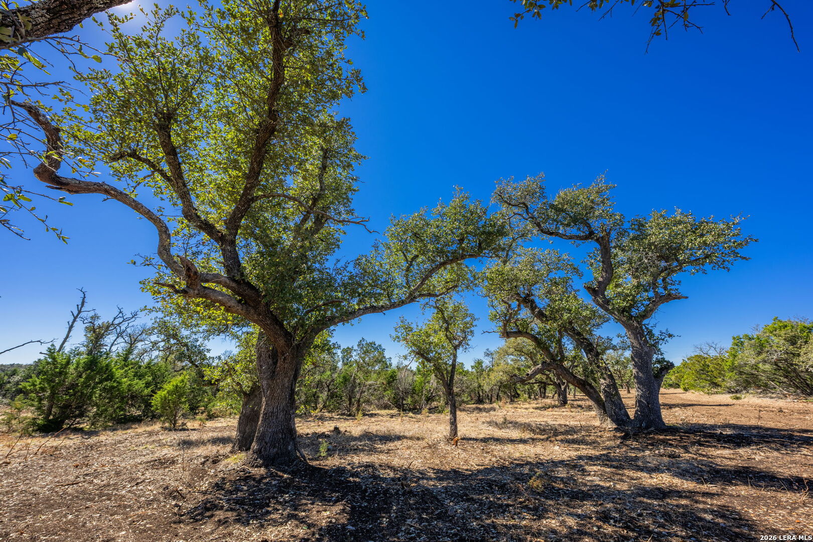 0000 Keese Road Fredericksburg TX 78624