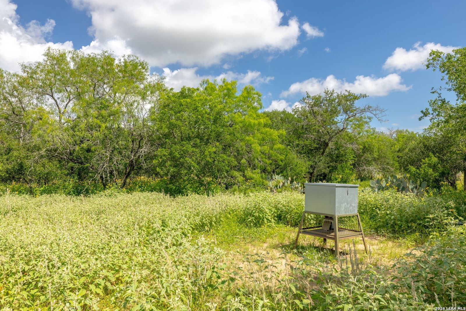 237 County Road 393 Runge TX 78151