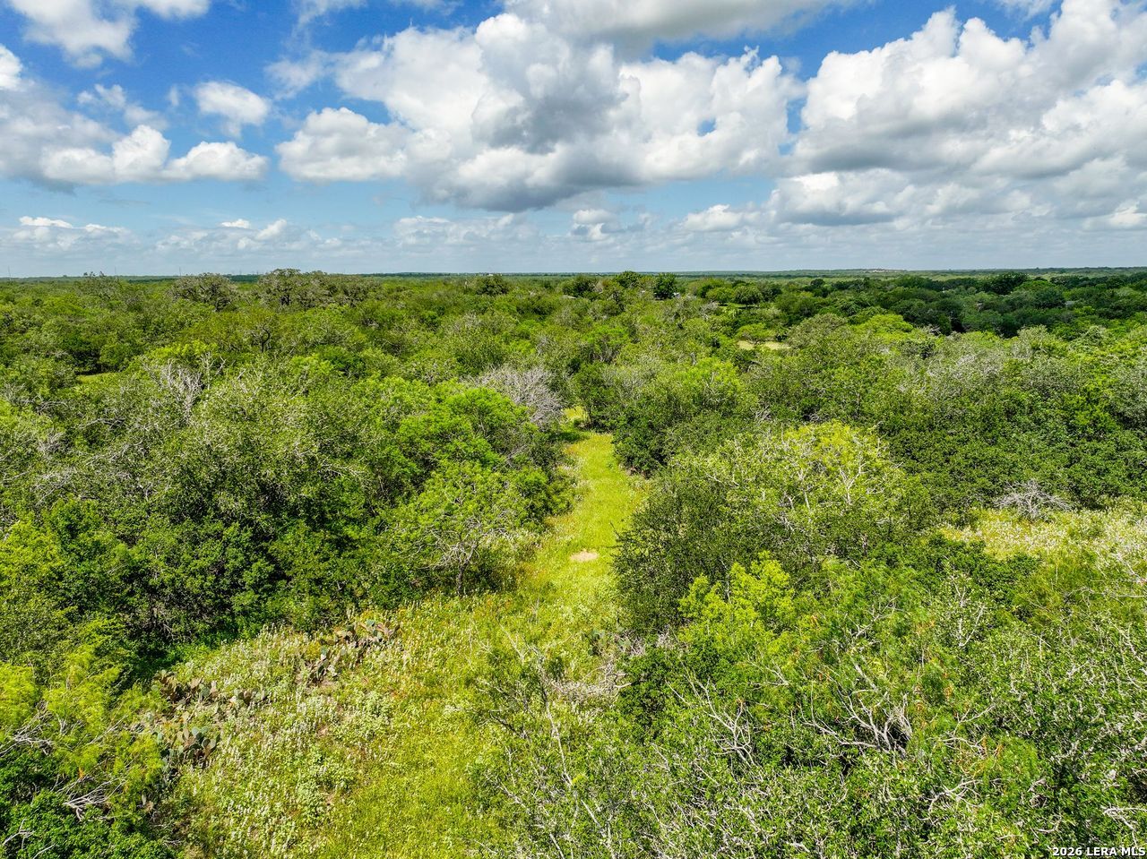 237 County Road 393 Runge TX 78151