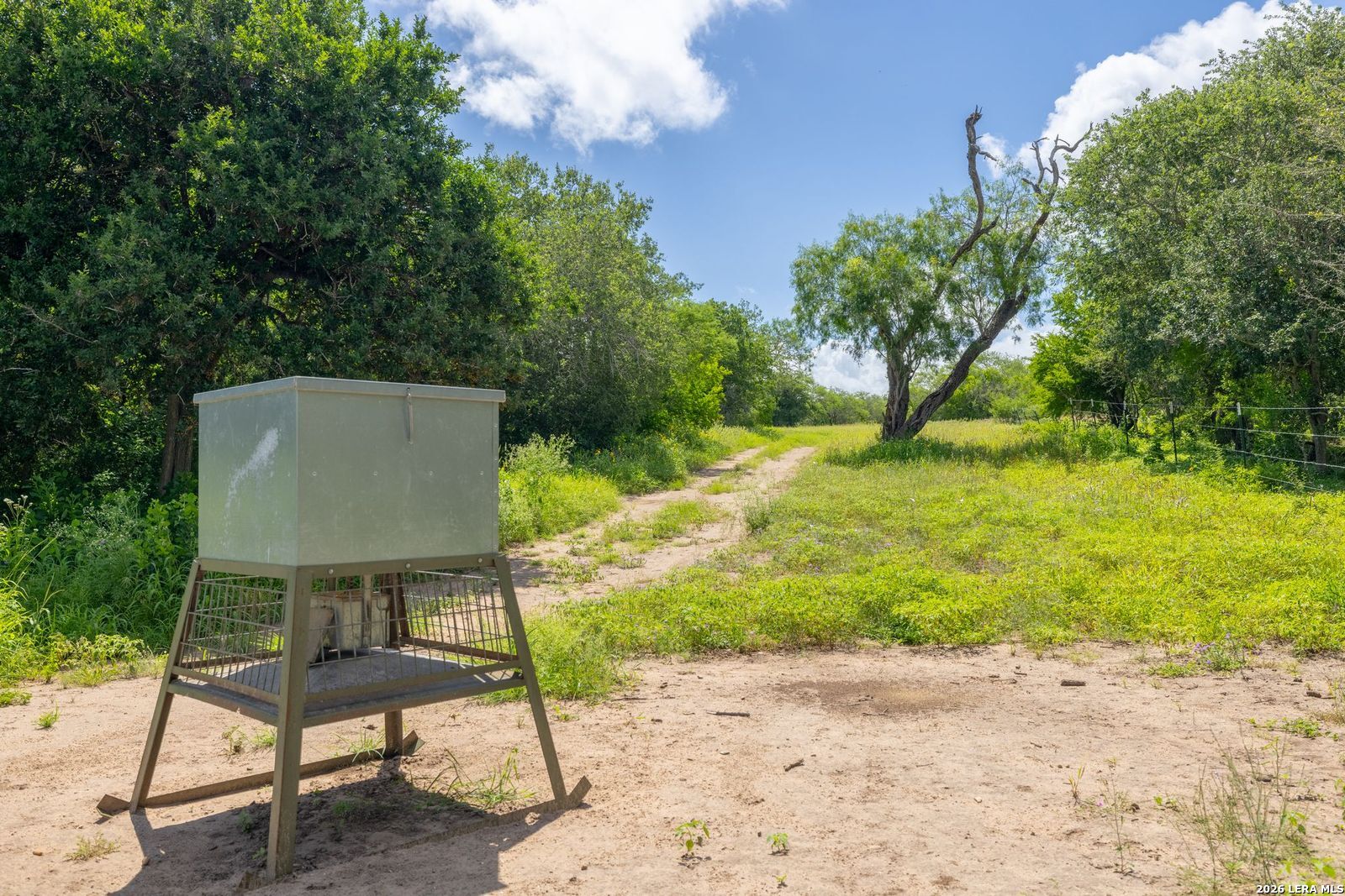 237 County Road 393 Runge TX 78151