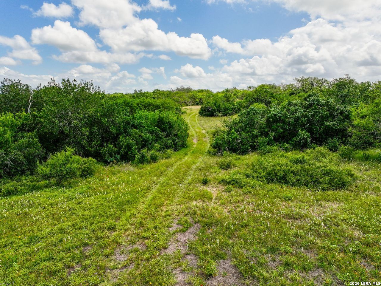 237 County Road 393 Runge TX 78151