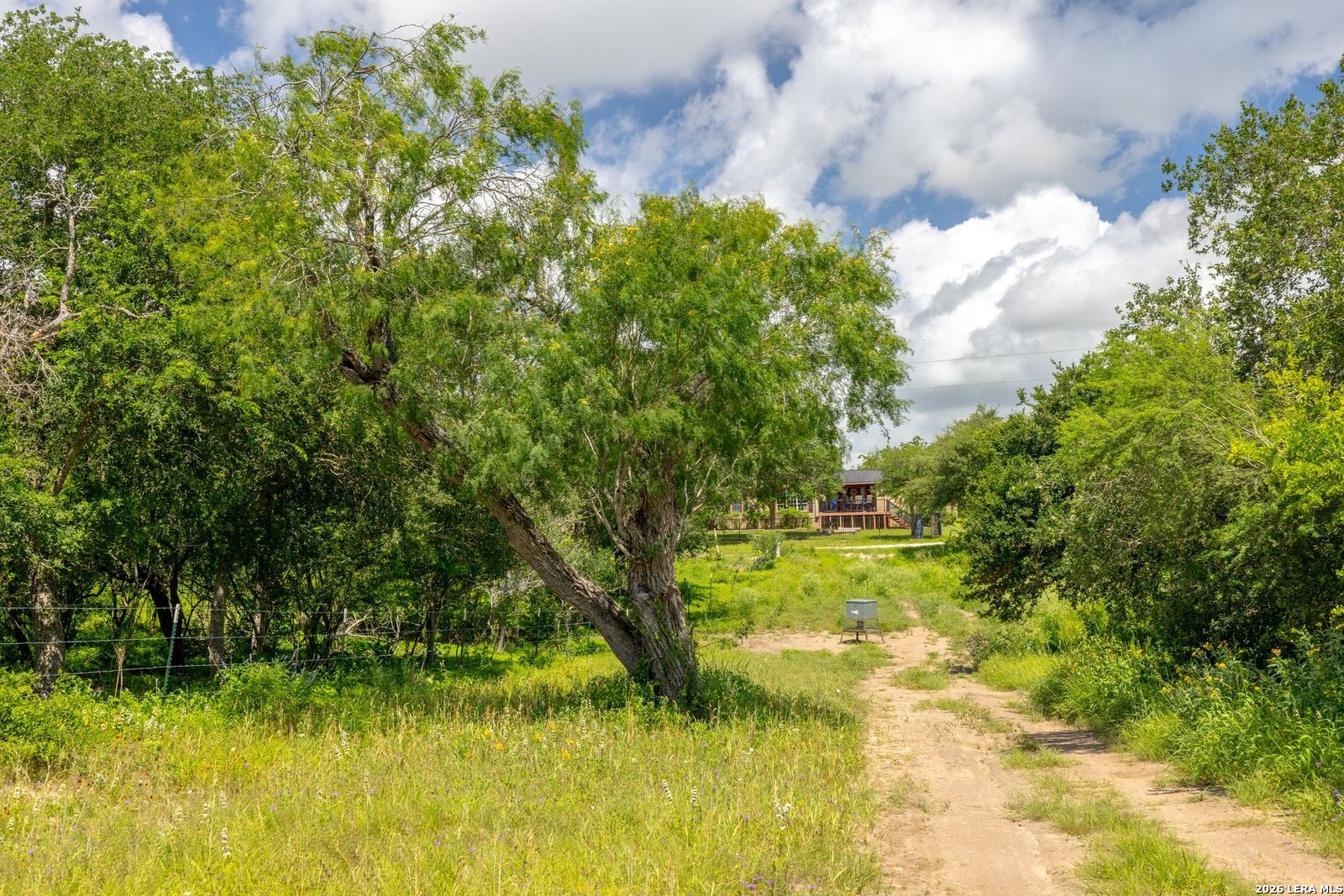 237 County Road 393 Runge TX 78151