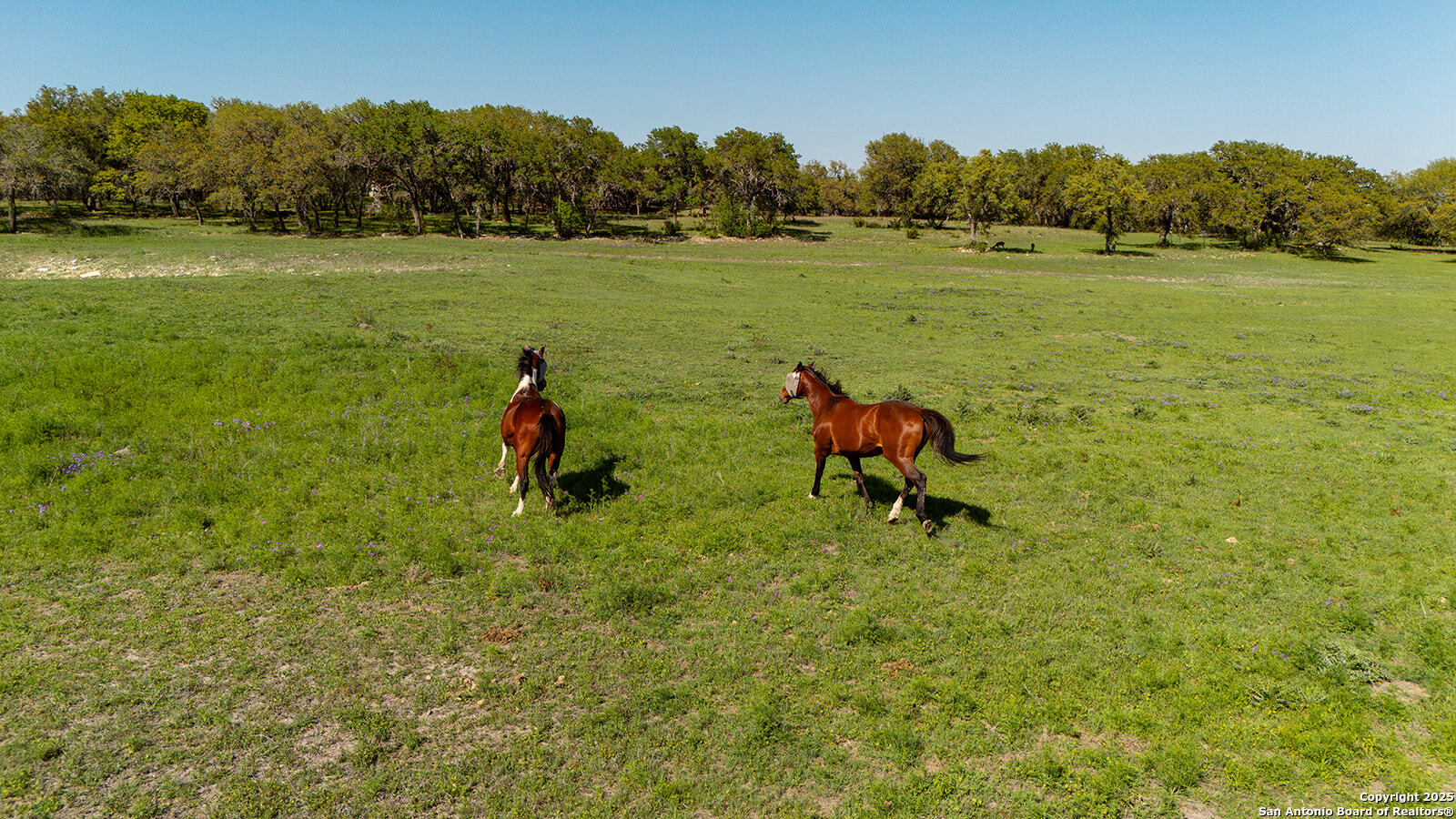 436A Fm 1376 Boerne TX 78006