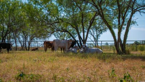 5002 Fm 476 Poteet TX 78065
