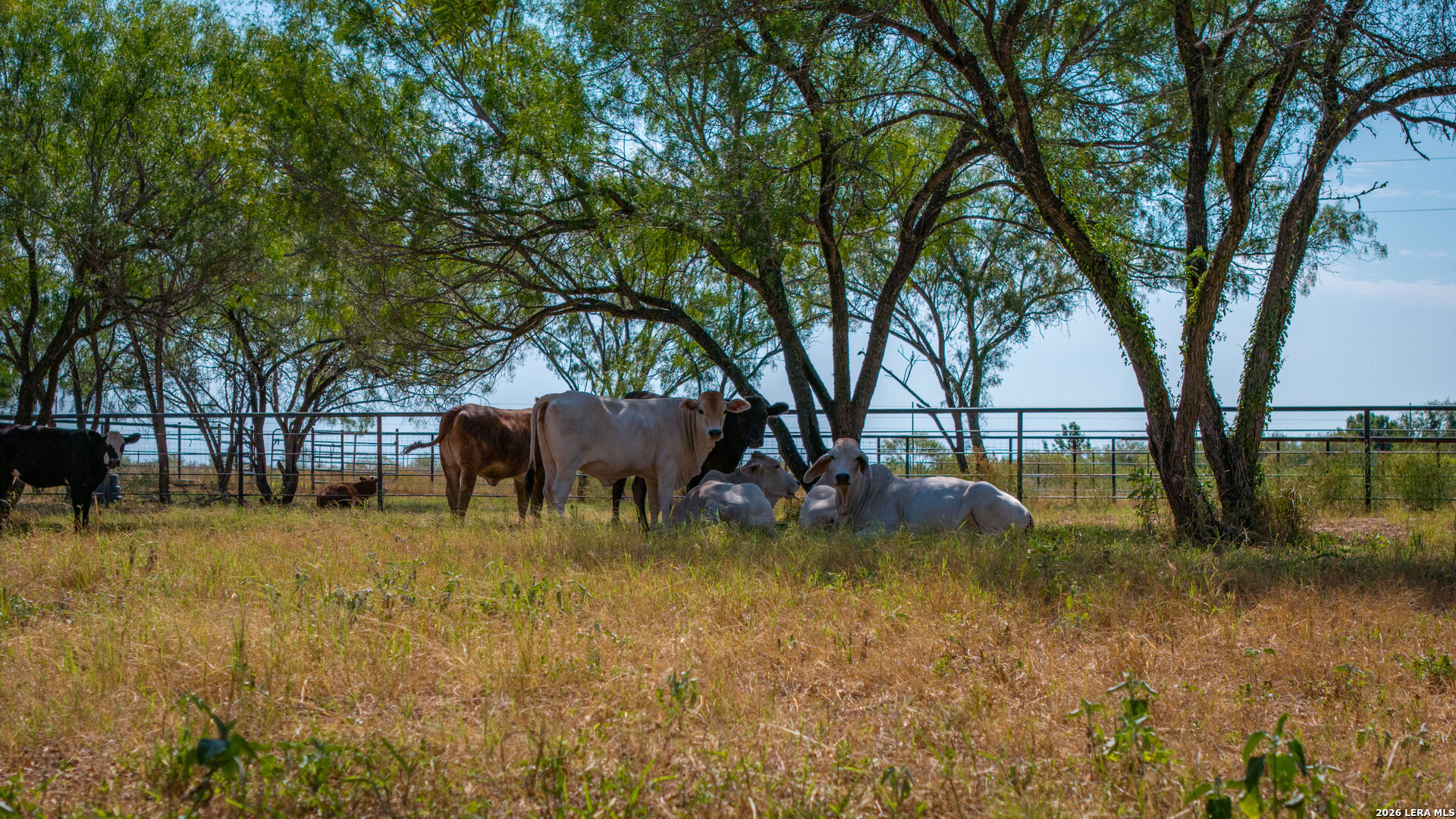 5002 Fm 476 Poteet TX 78065